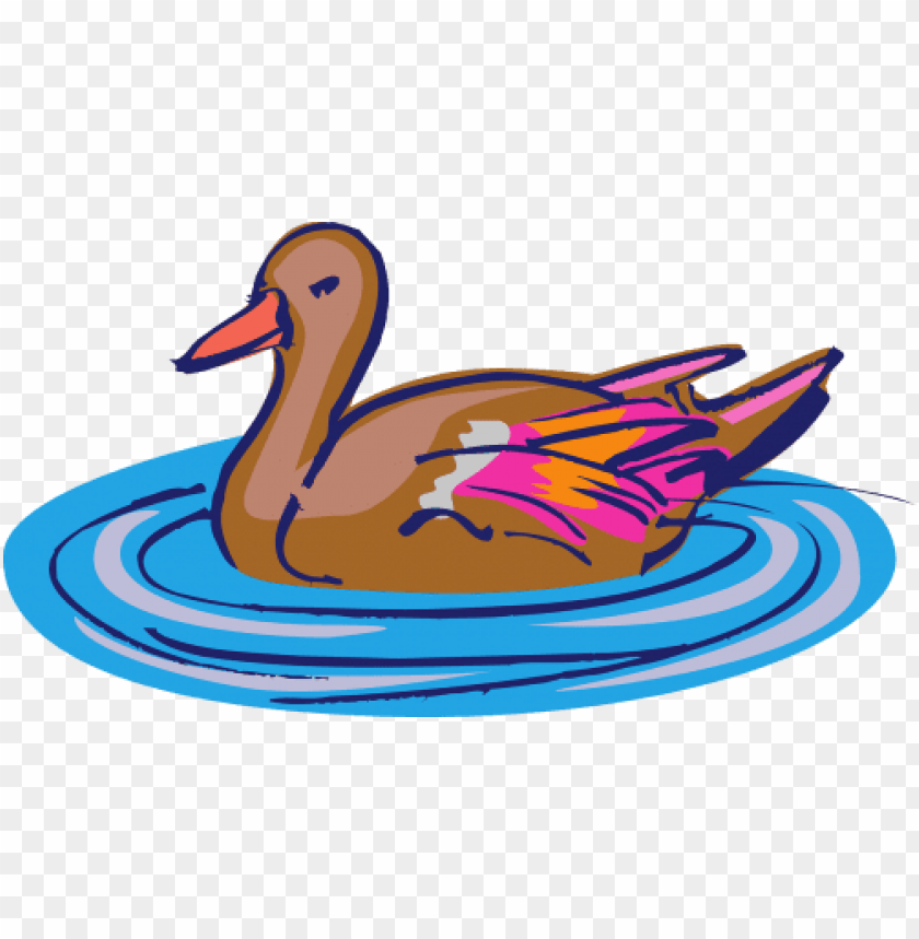 Swimming Duck Cutout PNG Clipart Images TOPpng