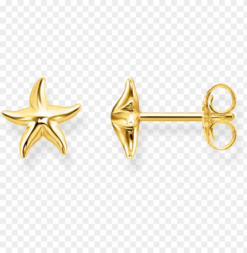 Estrella De Mar Cutout PNG Clipart Images TOPpng