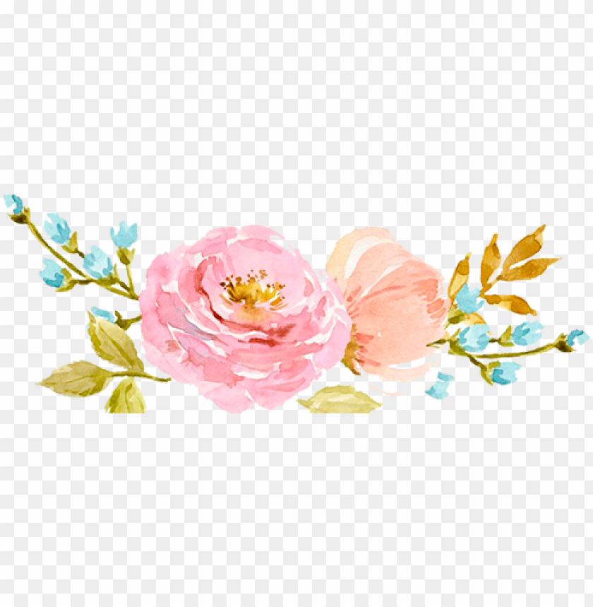 Download Download 00 Per Syringe Sculptra Watercolor Flower Flower Border Png Free Png Images Toppng