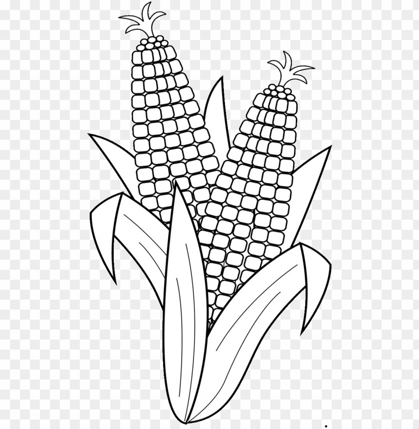 Download 19 Corn Clip Black And White Drawing Huge Freebie Download Fruits And Vegetables Clipart Black And White Png Free Png Images Toppng - classic duck freebie roblox