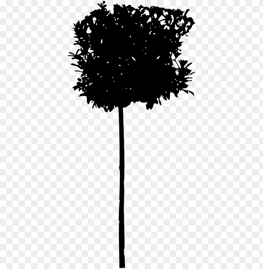 45 Tree Silhouettes PNG Transparent Background