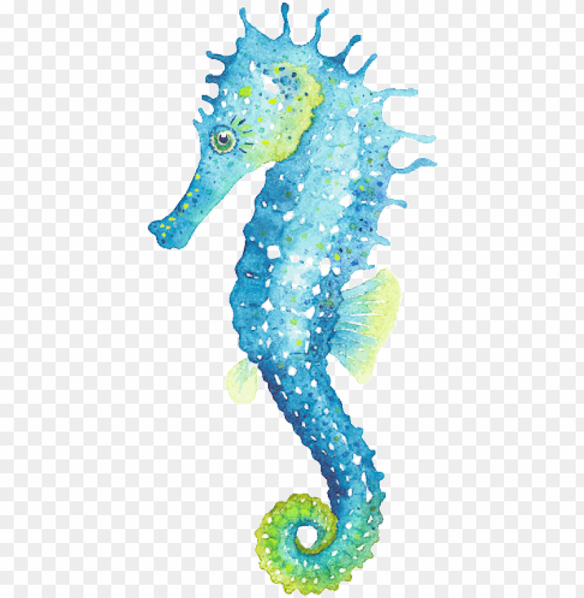 Download A Seahorse Seahorse Illustratio Png Free Png Images Toppng - avatar fotos de roblox tumblr sin cara