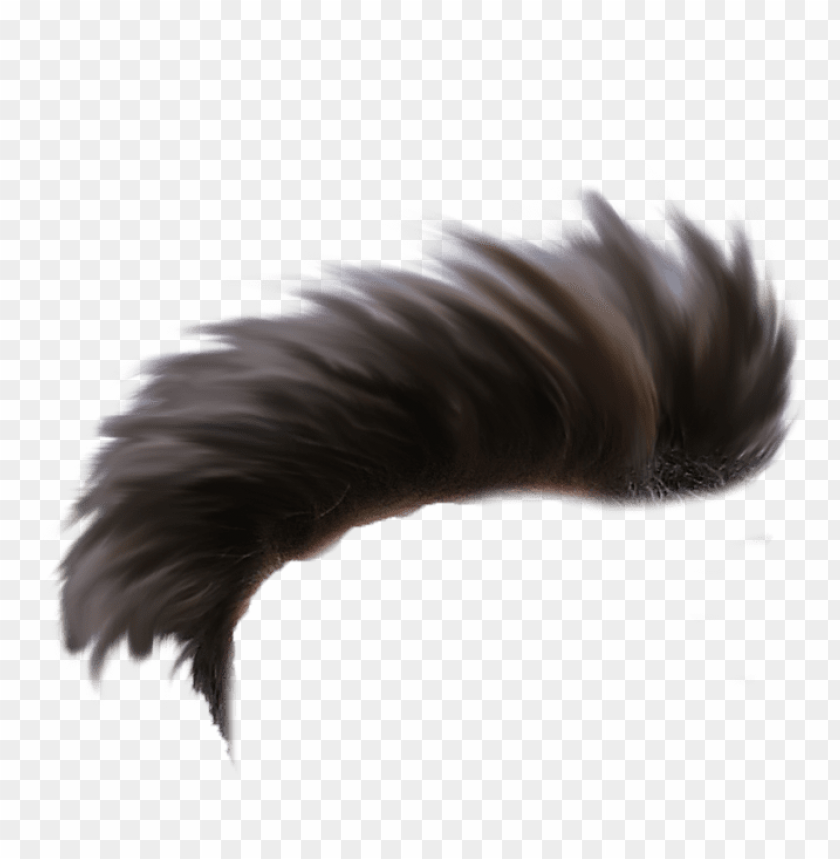 Download All Heir Png Hair Png One Side Png Free Png Images