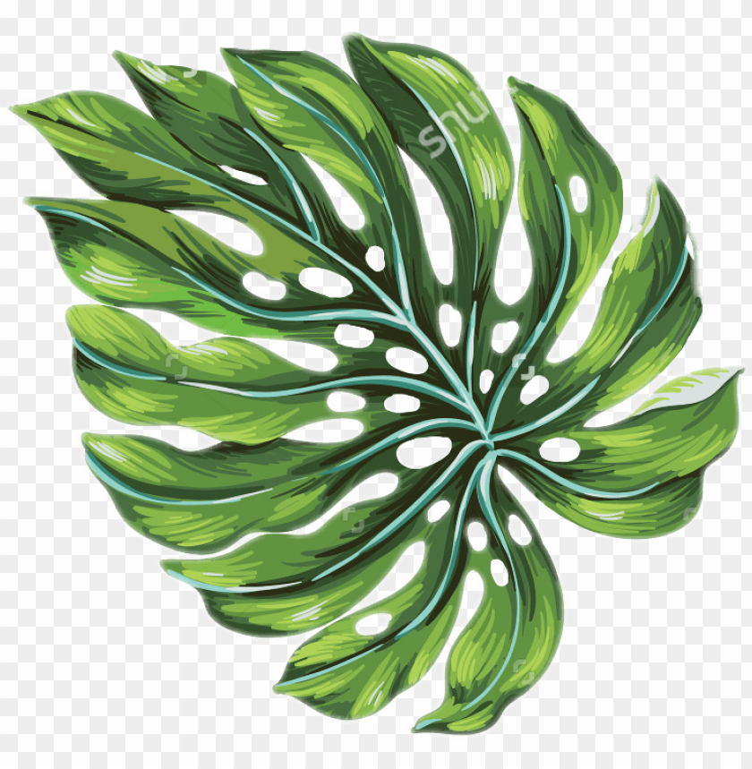 Download Download Alm Leaf Palmtrees Palmtree Freetoedit Tropical Palm Leaves Art Png Free Png Images Toppng