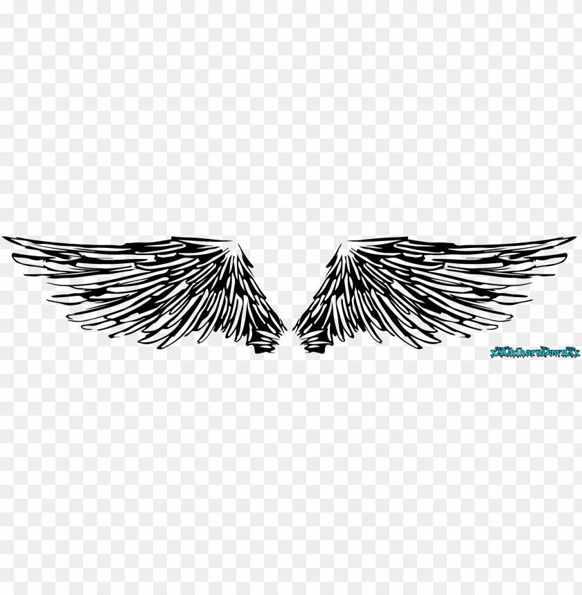 Download Angel Wings Line Art By Xxchiharudawnxx On Deviantart Png Free Png Images Toppng - golden angel wings roblox