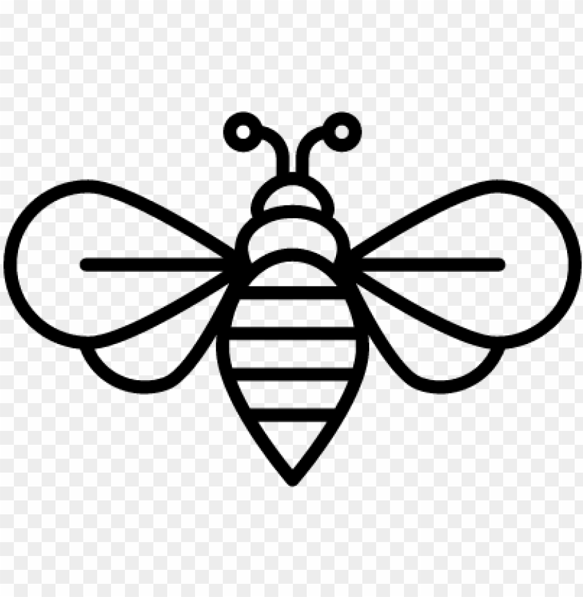 Download Download Bee Vector Free Bee Vector Png Free Png Images Toppng