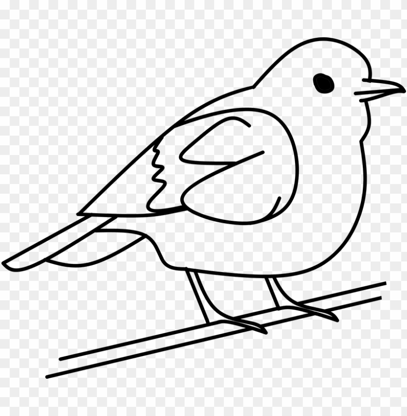 flower clipart images black and white birds