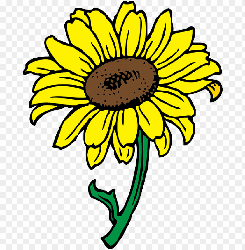 Download black, outline, yellow, drawing, sun, flower, white - sunflower  clip art png - Free PNG Images | TOPpng