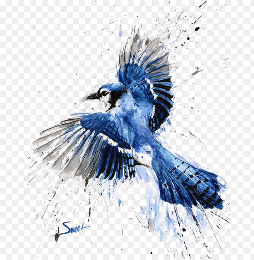 Download Bluejay Drawing Watercolor Blue Jay Watercolor Painti Png Free Png Images Toppng