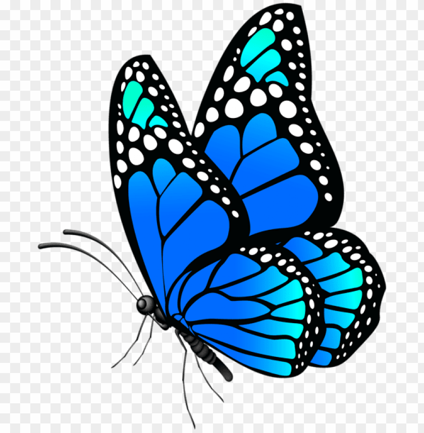 Download Download Butterfly Blue Png Free Png Images Toppng