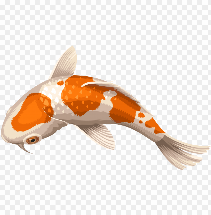 Fish Drawing PNG Transparent Images Free Download