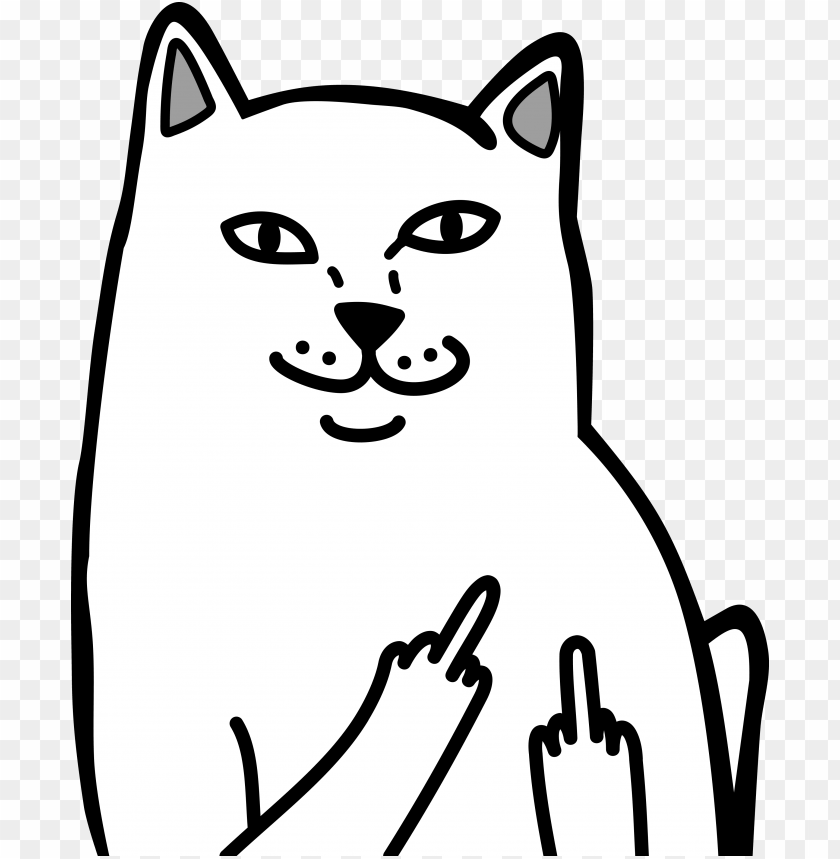 Download Cat Middle Finger The Stickers Middle Finger Png Free Png Images Toppng