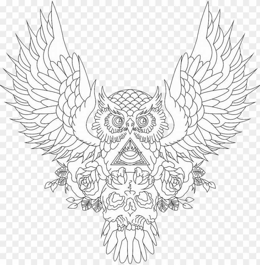 Download Clip Art Drawing Tattoo Pinterest Tattoos Owl And Skull Tattoo Outline Png Free Png Images Toppng - black dragon outline tribal tattoo roblox