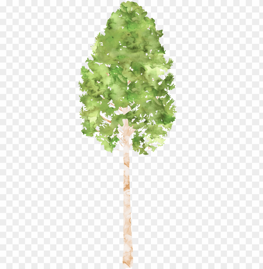 Download Clipart Tree Watercolor - Watercolor Painti Png - Free Png Images | Toppng