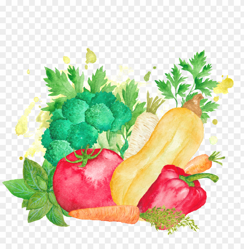 download colorful hand drawn cartoon vegetable kitchen transparent carolines treasures watercolor vegetables farm to table png free png images toppng colorful hand drawn cartoon vegetable