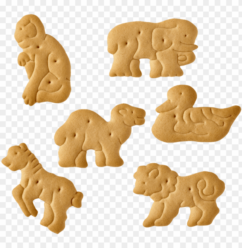 Download Cracker Clipart Animal Cracker Animal Crackers Clipart Png Free Png Images Toppng