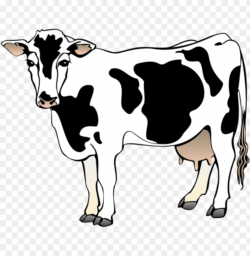 dairy cow clip art