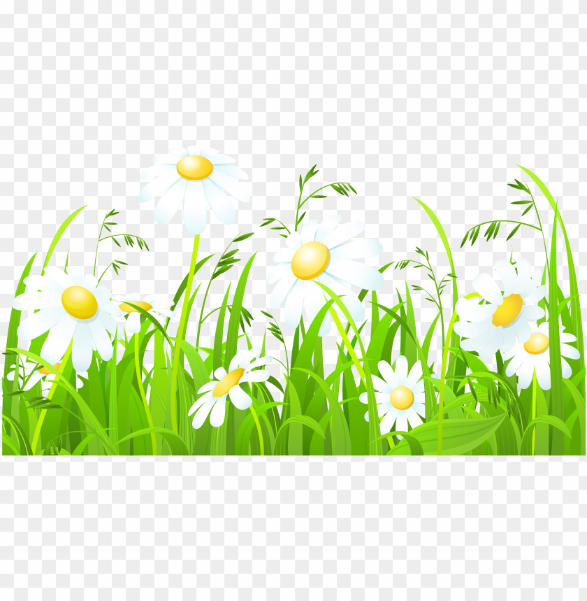 white daisy border clip art