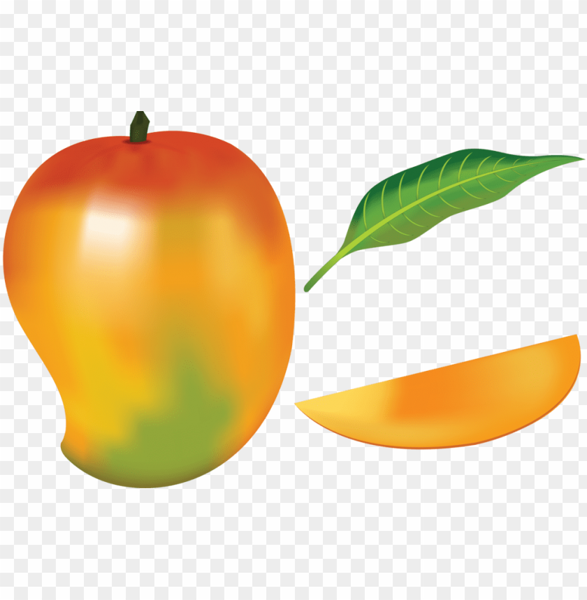 mango fruit drawing