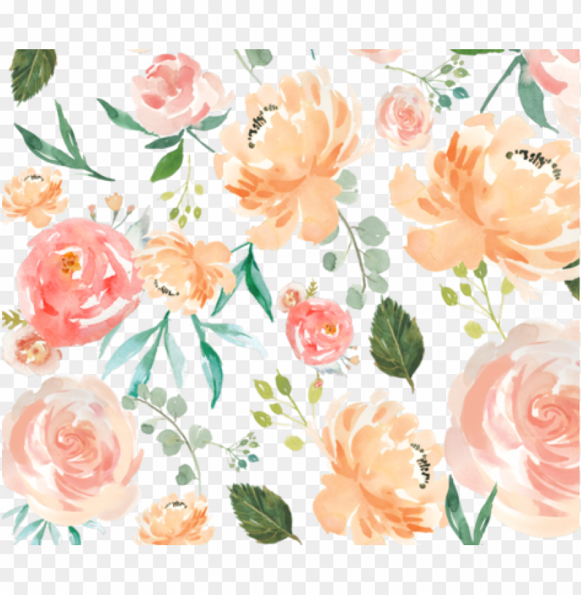 Download each watercolor delight flowers fabric by hudsondesigncompany -  peach watercolor delight png - Free PNG Images | TOPpng