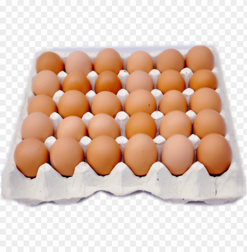 Eggs PNGs for Free Download