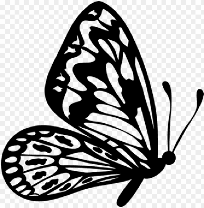 Free download | HD PNG flying butterfly outline clipart flying butterfly  clipart black and white PNG image with transparent background | TOPpng
