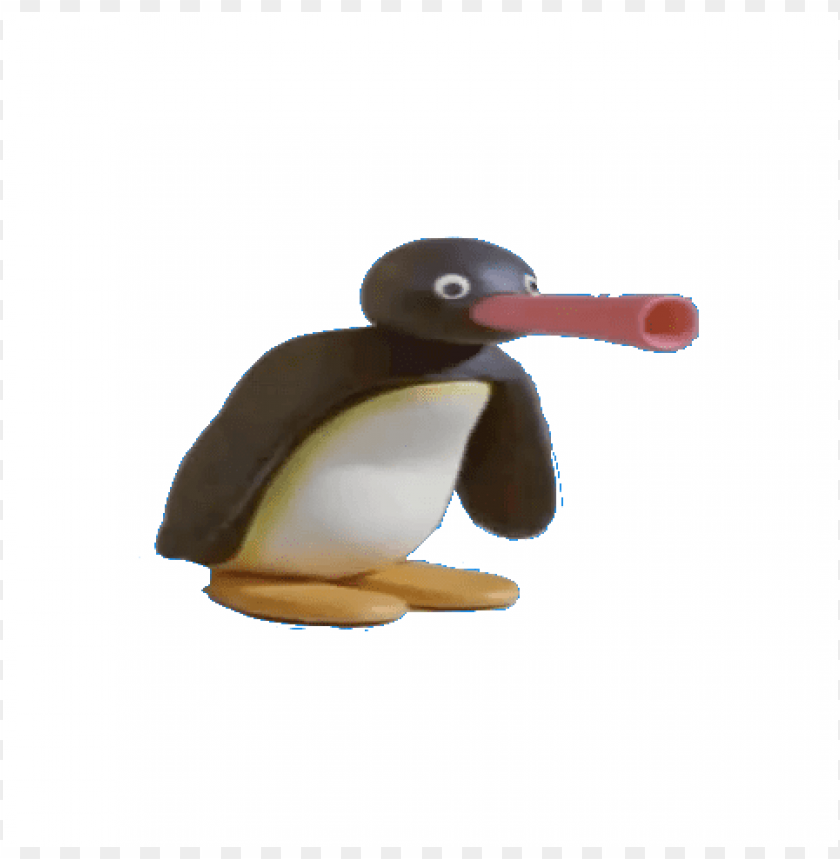 Download Former Dictator Pingu Of Noot Island Pingu Noot - roblox pingu