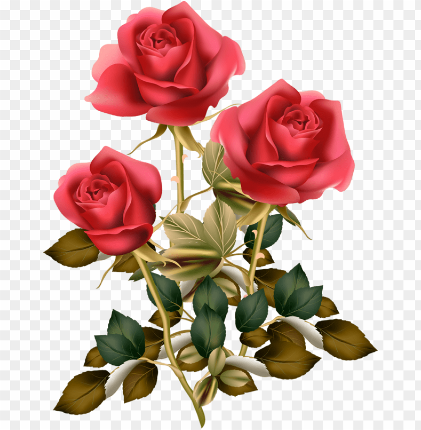 Download Fotki Red Rose Png Red Roses Rose Clipart Vintage Images, Photos, Reviews