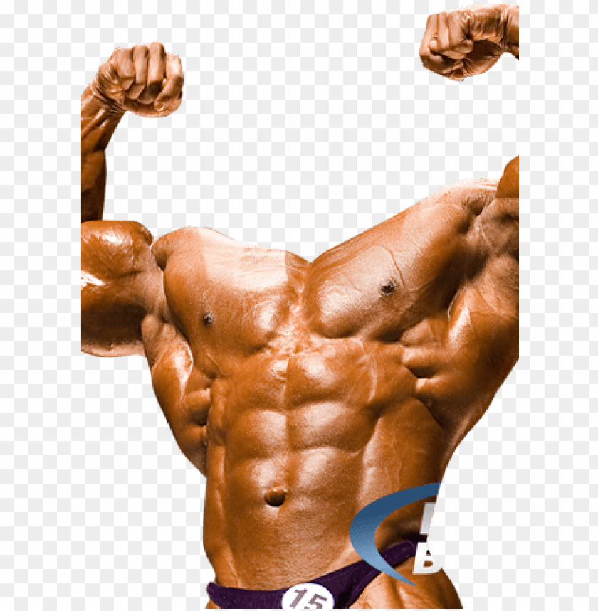 Download Free Bodybuilder Photo Bodybuilder Photo Montage Png Free Png Images Toppng