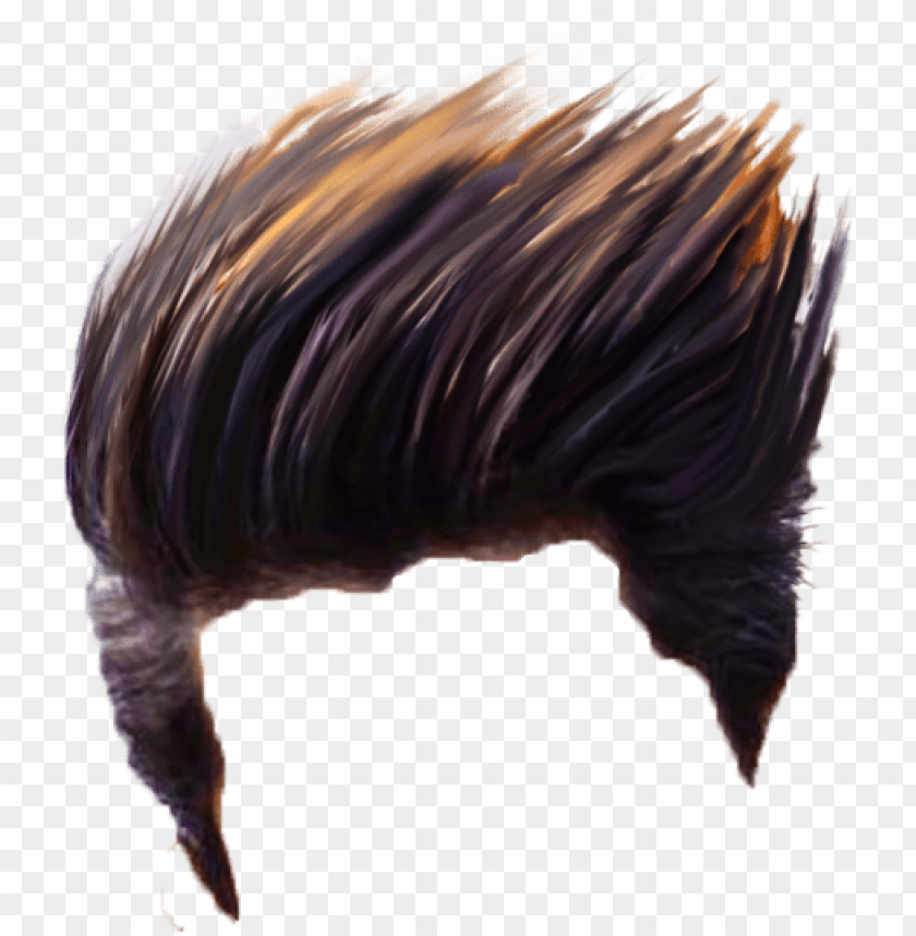 Download hair hd png - Free PNG Images | TOPpng