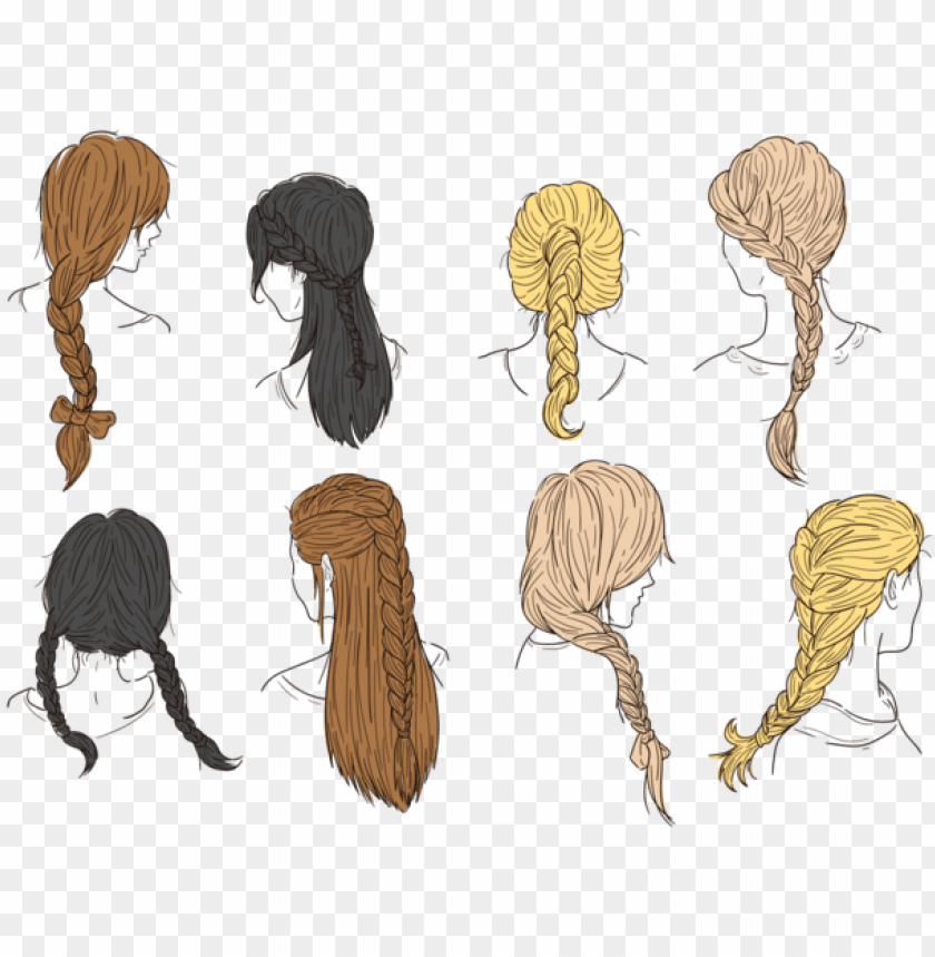Download Hair Plaits And Braids Vectors Braided Hair Braids Vector Png Free Png Images Toppng - hair braid extension candy roblox