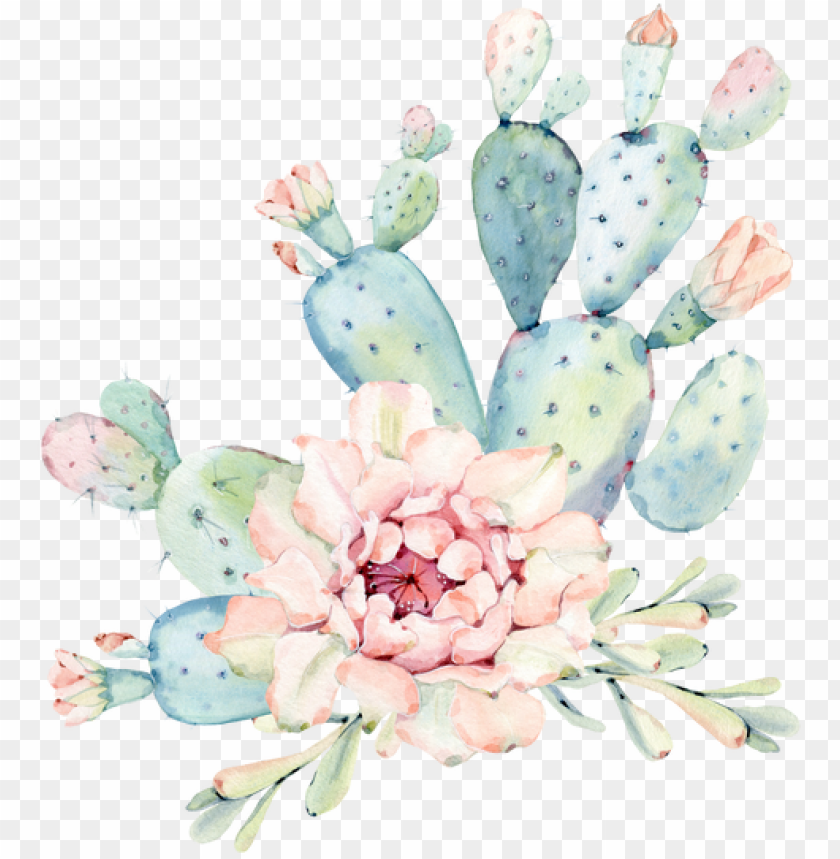 Download Hand Drawn Watercolor Saguaro Cactus Round Mosue Pad Png Free Png Images Toppng - round cactus roblox