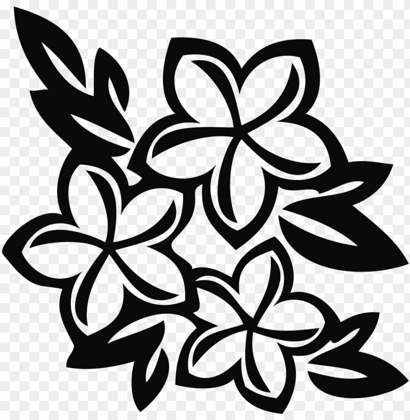 Download hawaiian flowers clip art - black and white plumeria flower png -  Free PNG Images | TOPpng