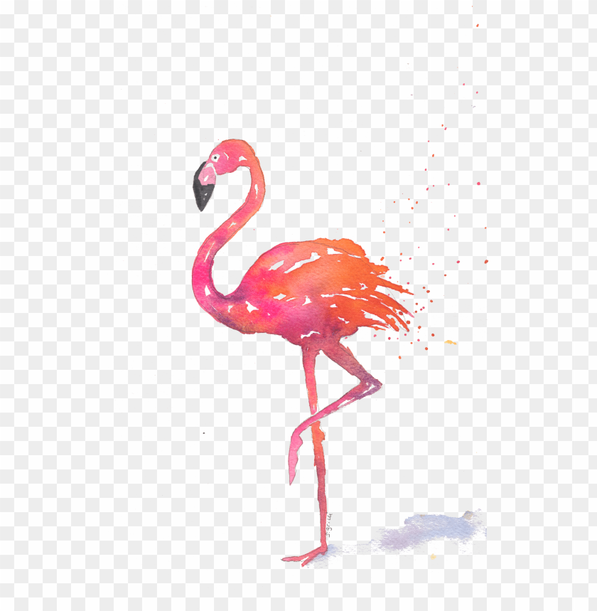 Download Home Note Cards Summer Theme Note Cards Greater Flamingo Png Free Png Images Toppng - flamingo piano sheet roblox