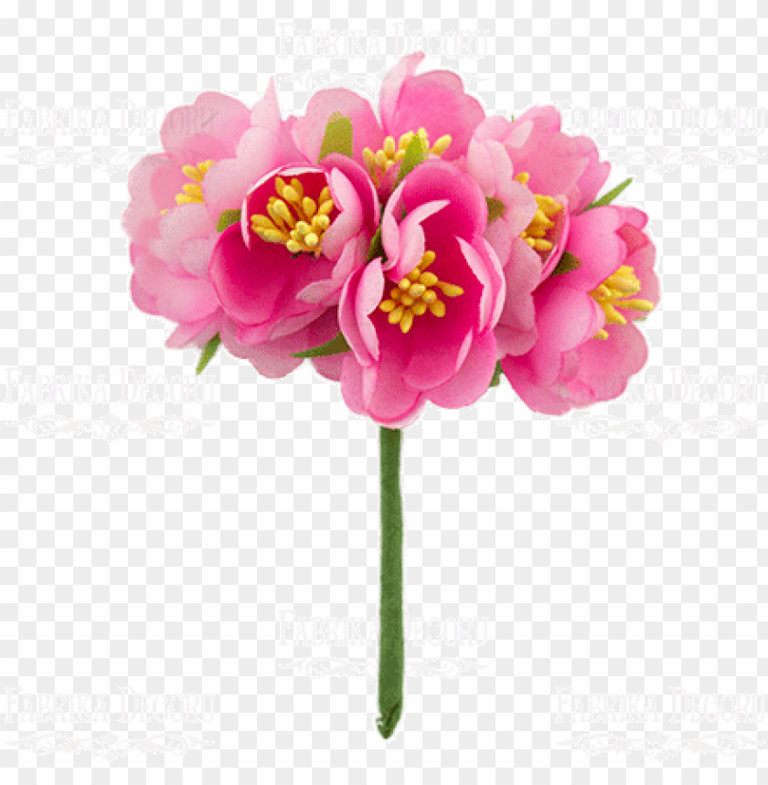 Download jasmine png - Free PNG Images | TOPpng Download jasmine png - Free PNG Images | TOPpng