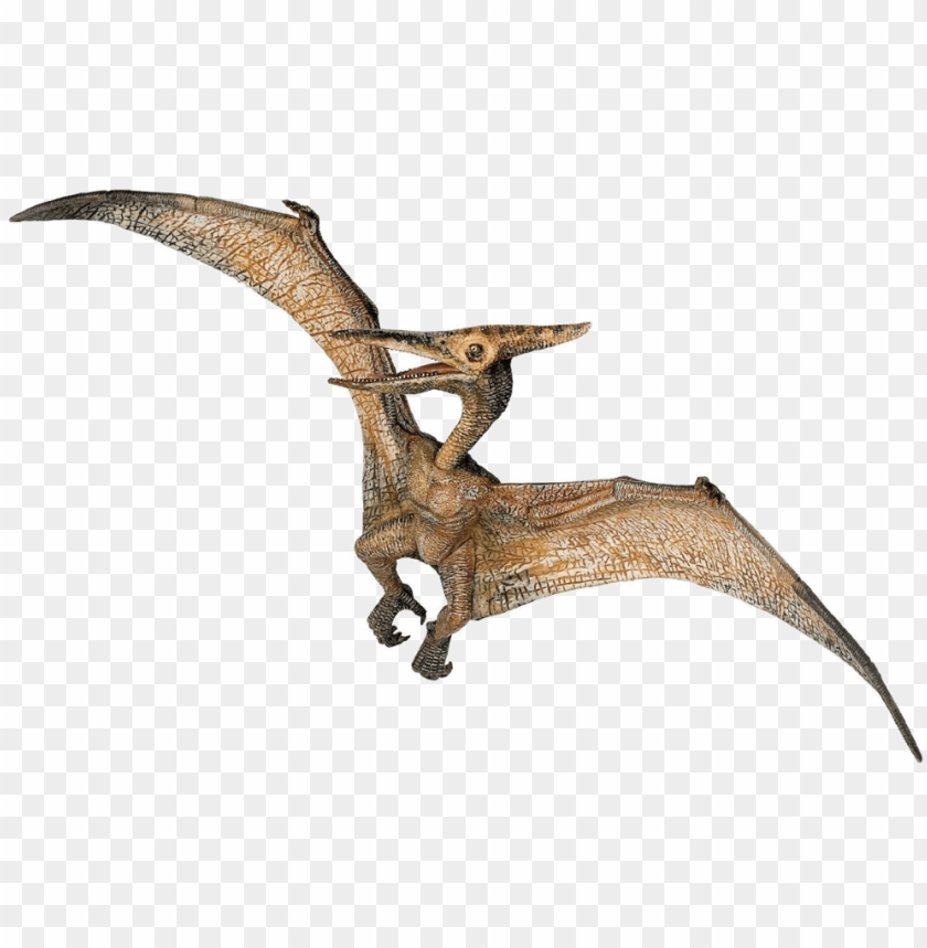 Pterosaurs PNG Images Transparent Free Download