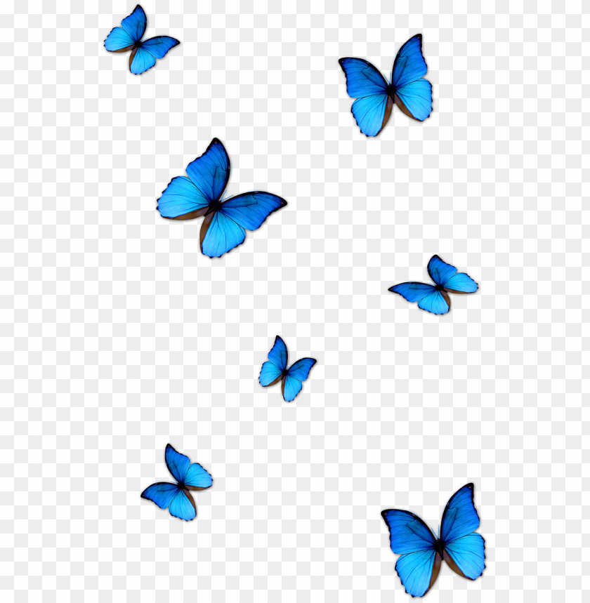 Free Free 277 Blue Butterfly Svg Free SVG PNG EPS DXF File