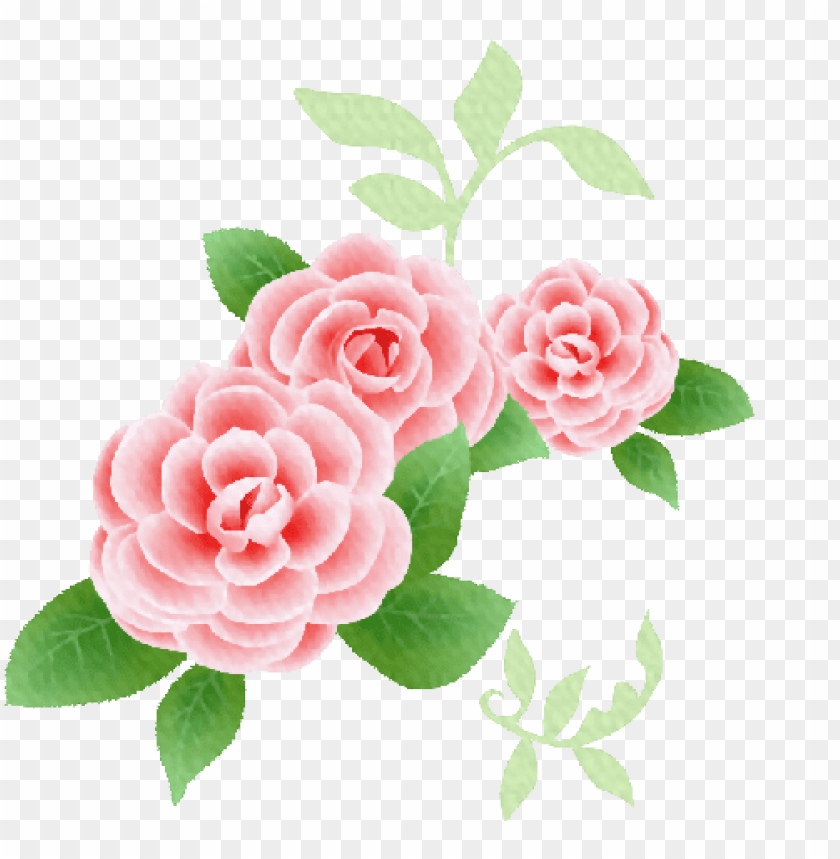 Download kit de rosas y flores vintage para diseños png - rosas vintage png  - Free PNG Images | TOPpng