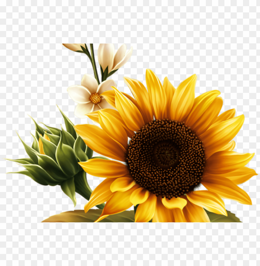 Free Free 213 Clear Background Sunflower Bouquet Svg SVG PNG EPS DXF File