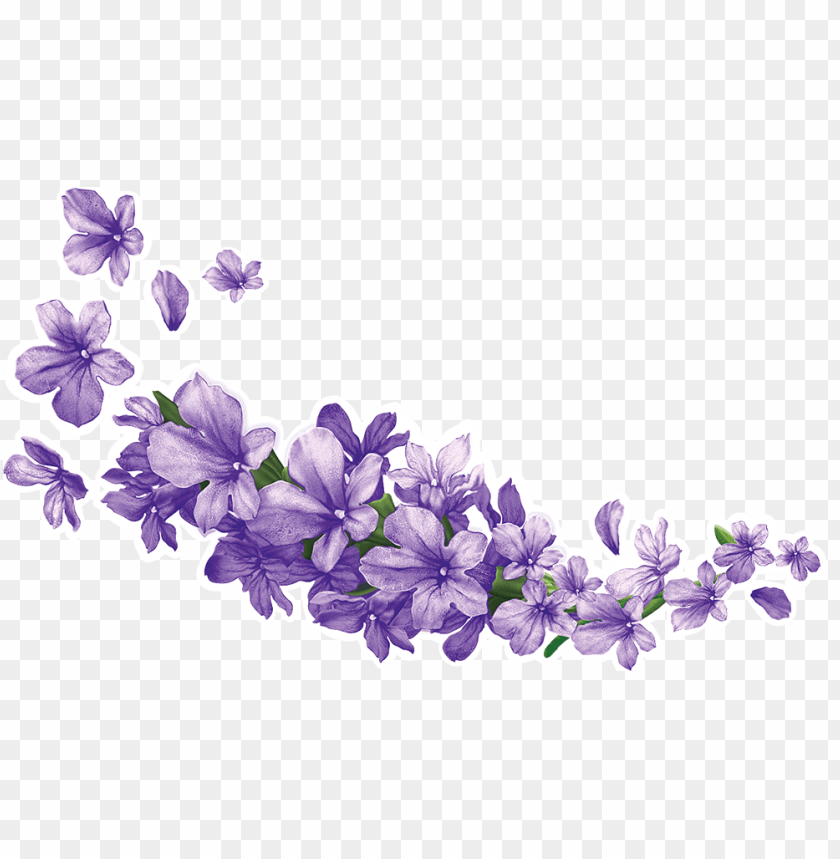 Lavender Background png download - 801*976 - Free Transparent Bonzibuddy  png Download. - CleanPNG / KissPNG