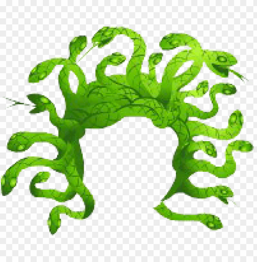 Download Legends Medusa Hair Green Png Free Png Images Toppng - black to green hair extensions roblox