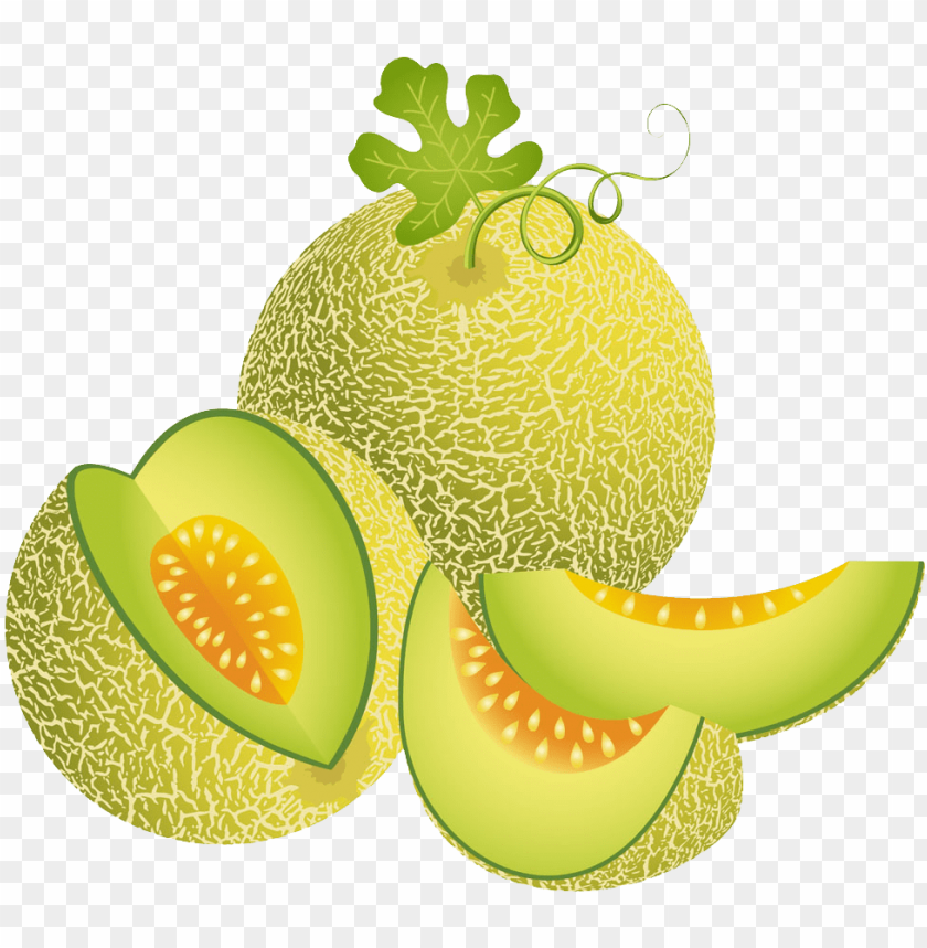 Download Melon Illustration Green Transprent Png Free Download Melon Vector Png Free Png Images Toppng - robloxhighschool by melon slice