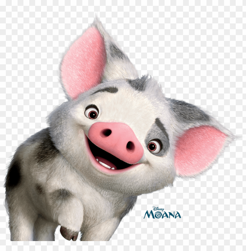 Download Moana Pig Pua Moana Party Disney Pig Disney Love Disney Moana Greeting Card Png Free Png Images Toppng