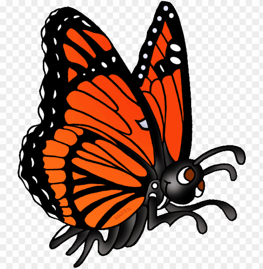 Download Download Monarch Butterfly Clipart Viceroy Butterfly Butterfly Phillip Martin Clipart Png Free Png Images Toppng