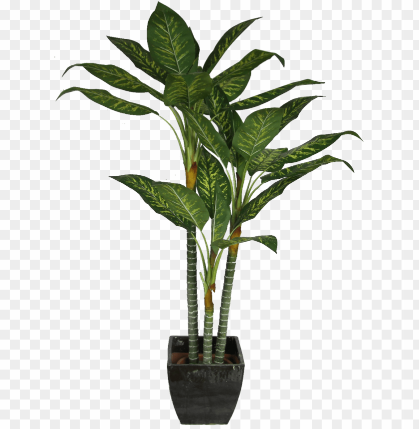 download office plant png for kids plant cut out png free png images toppng toppng