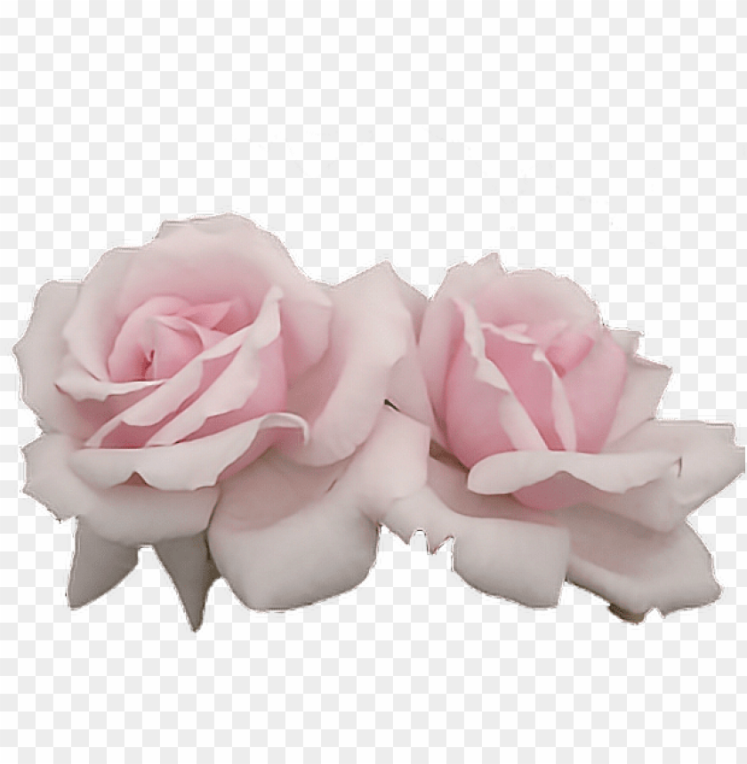 Download Report Abuse Pink Aesthetic Flowers Png Free Png Images Toppng - roblox aesthetic icon pink pastel