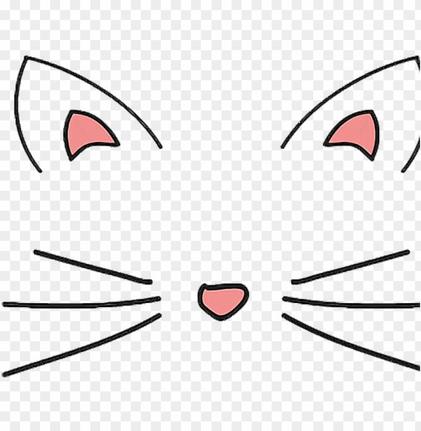 Download report abuse - transparents cat ears and whiskers png - Free PNG  Images | TOPpng
