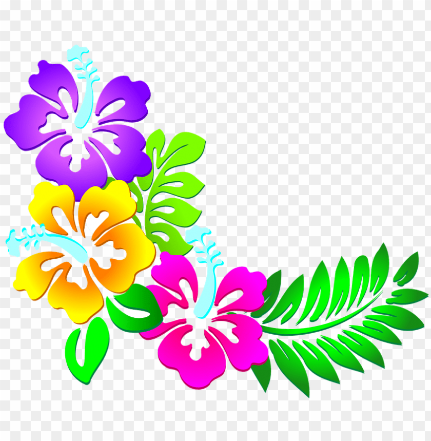 Download resultado de imagen para vectores de flores - corner flower border  designs png - Free PNG Images | TOPpng