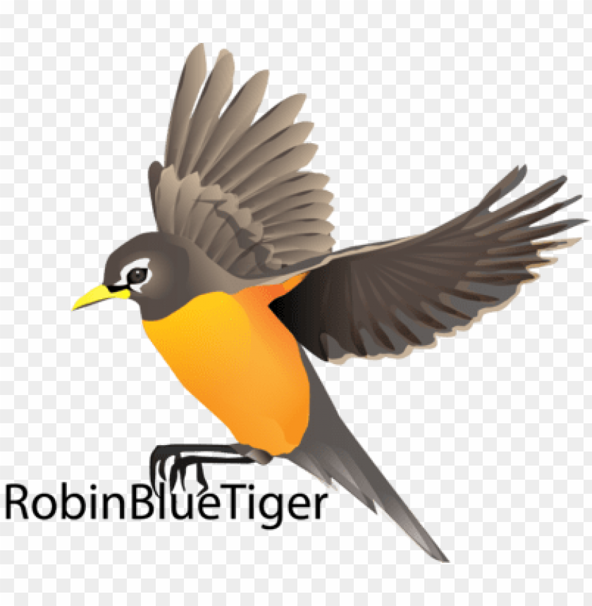 Download robin bird flying drawing png - Free PNG Images | TOPpng
