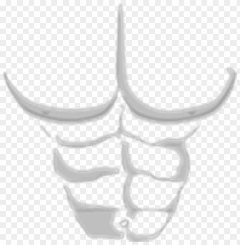 Download Roblox Abbs Png Six Pack Png Roblox Png Free Png Images Toppng - tattoo abs roblox
